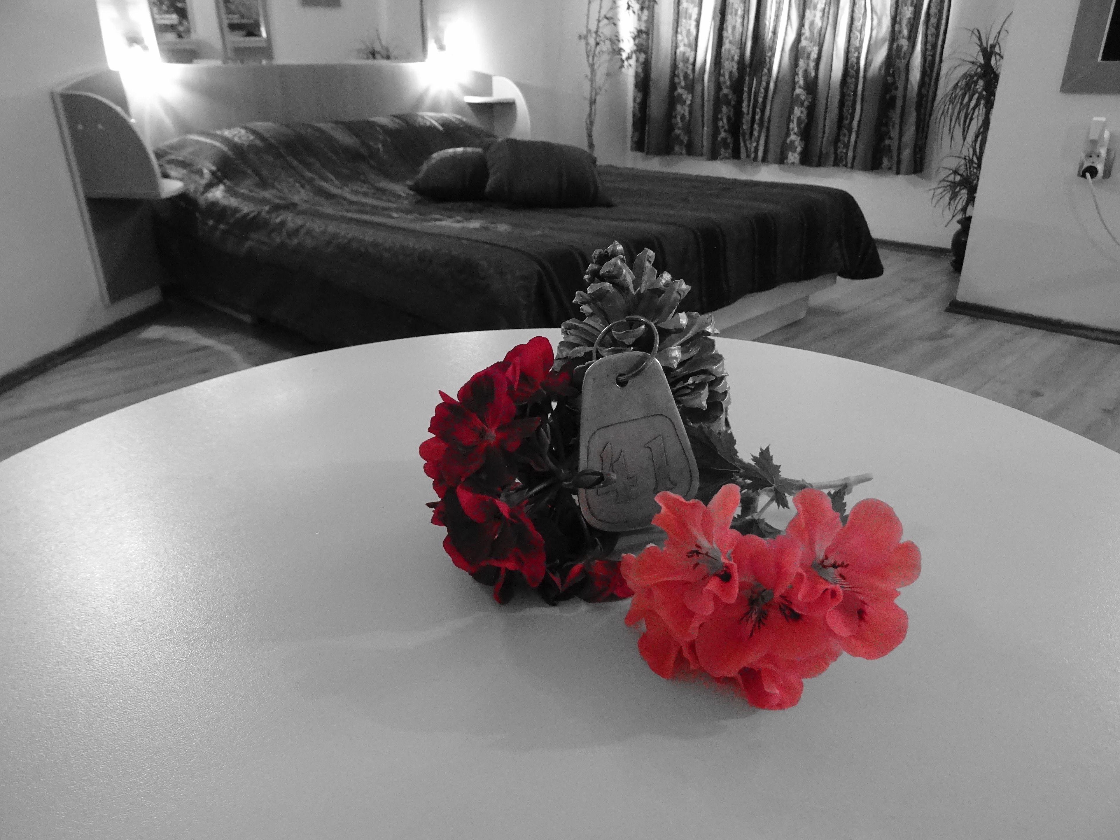 Hotel Color Varna Luaran gambar