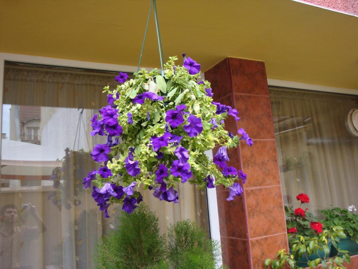 Hotel Color Varna Luaran gambar